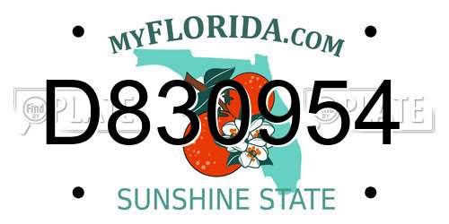 D830954 Florida License Plate