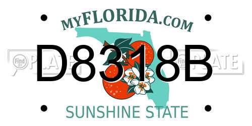 D8318B Florida License Plate