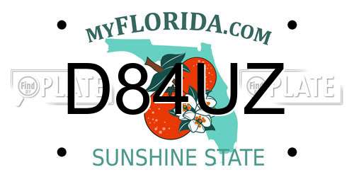 D84UZ Florida License Plate