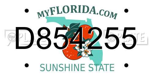 D854255 Florida License Plate