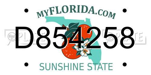 D854258 Florida License Plate