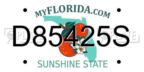 D85425S Florida License Plate