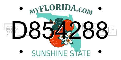 D854288 Florida License Plate