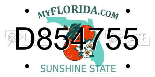 D854755 Florida License Plate