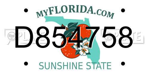 D854758 Florida License Plate