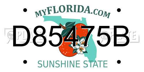 D85475B Florida License Plate