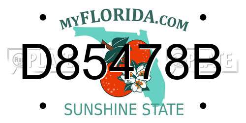 D85478B Florida License Plate