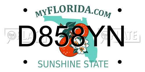 D858YN Florida License Plate