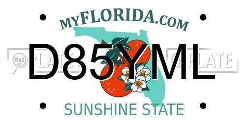 D85YML Florida License Plate