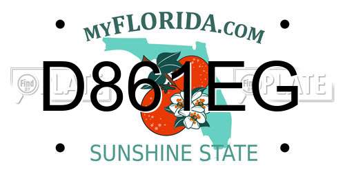 D861EG Florida License Plate