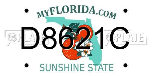 D8621C Florida License Plate