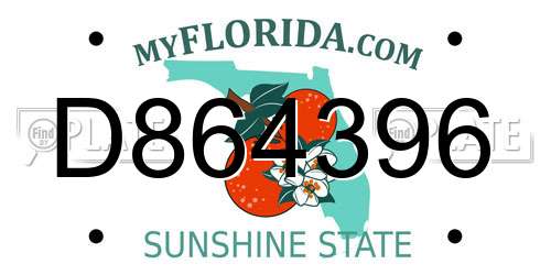 D864396 Florida License Plate