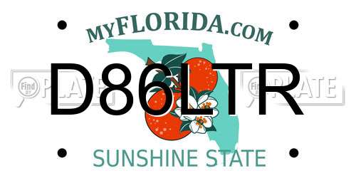 D86LTR Florida License Plate