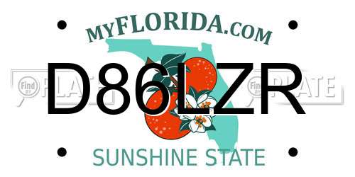 D86LZR Florida License Plate