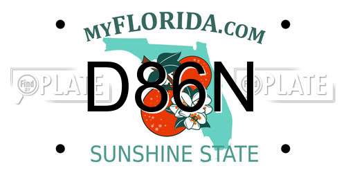 D86N Florida License Plate