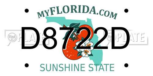 D8722D Florida License Plate