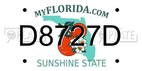 D8727D Florida License Plate