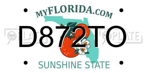D872TO Florida License Plate