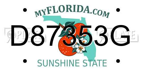 D87353G Florida License Plate