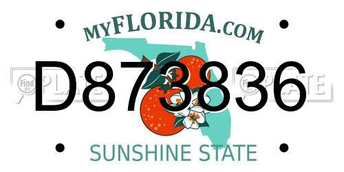 D873836 Florida License Plate