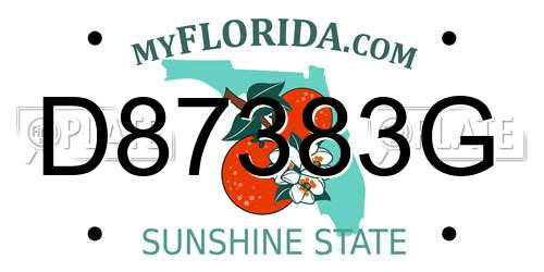 D87383G Florida License Plate