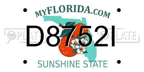 D8752I Florida License Plate