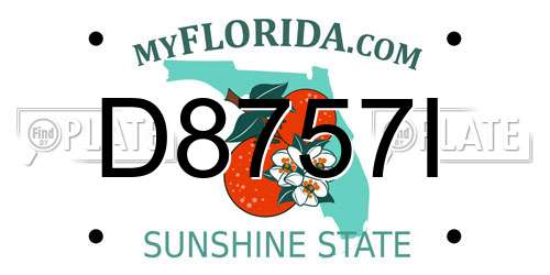 D8757I Florida License Plate