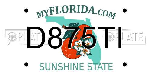 D875TI Florida License Plate
