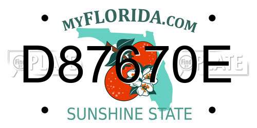 D87670E Florida License Plate