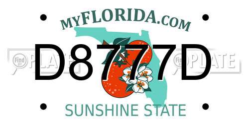 D8777D Florida License Plate