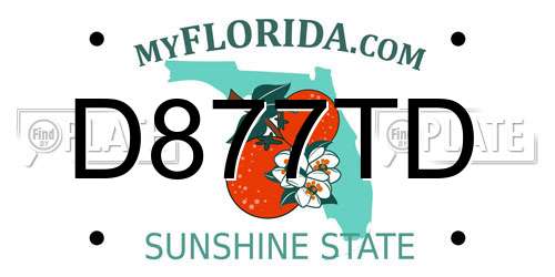 D877TD Florida License Plate