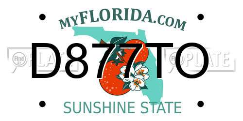 D877TO Florida License Plate