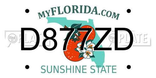 D877ZD Florida License Plate