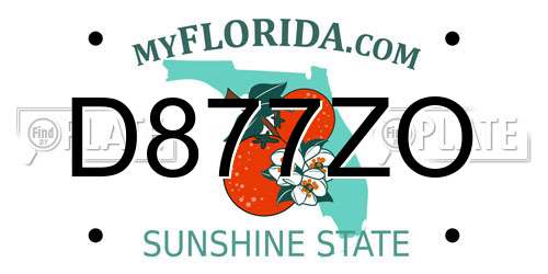 D877ZO Florida License Plate