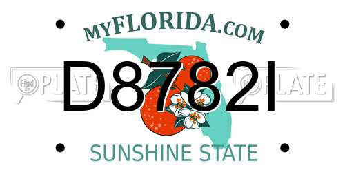 D8782I Florida License Plate