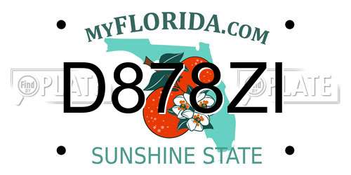 D878ZI Florida License Plate