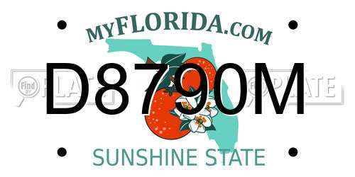 D8790M Florida License Plate