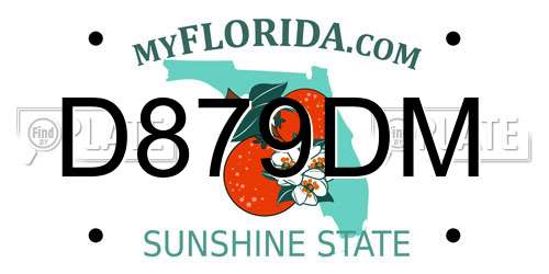 D879DM Florida License Plate