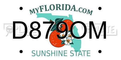 D879OM Florida License Plate