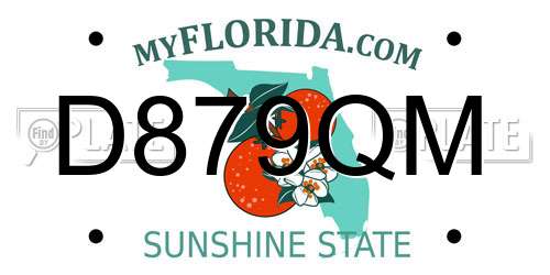 D879QM Florida License Plate