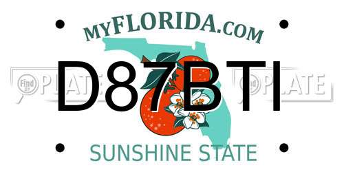 D87BTI Florida License Plate