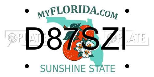 D87SZI Florida License Plate