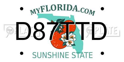 D87TTD Florida License Plate