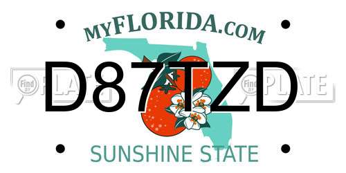 D87TZD Florida License Plate