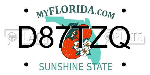 D87TZQ Florida License Plate