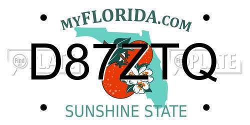 D87ZTQ Florida License Plate