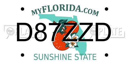 D87ZZD Florida License Plate
