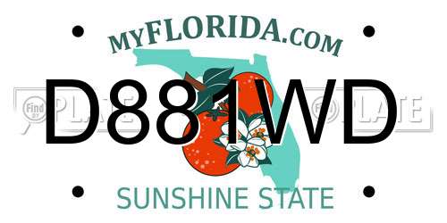 D881WD Florida License Plate