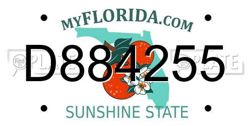 D884255 Florida License Plate
