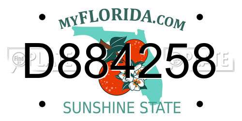 D884258 Florida License Plate